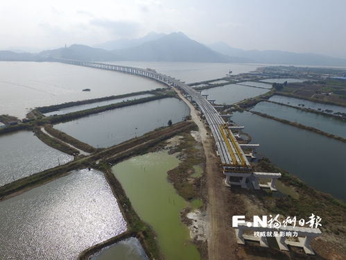 福州琅岐有什么水果特产