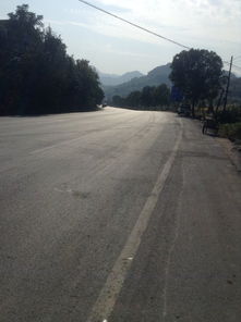 厦门骑电动车旅游攻略