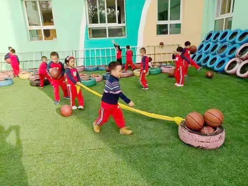 中班户外有哪些游戏