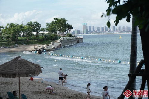 厦门旅游团赶海攻略图