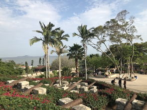 厦门自助旅游攻略5日游