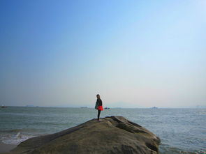 去厦门看海的旅游攻略图