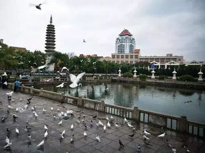 福州去厦门旅游攻略图片