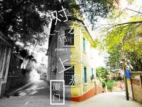 厦门旅游超经典攻略民宿