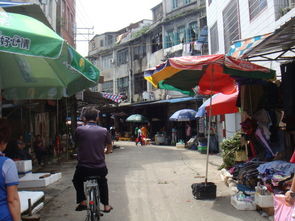 福建厦门八市攻略旅游