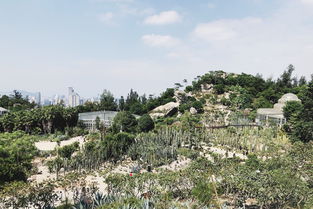 厦门小岛屿旅游攻略路线