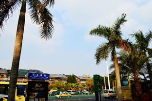 福州到厦门旅游攻略三天