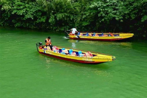 厦门到贵州跟团旅游攻略