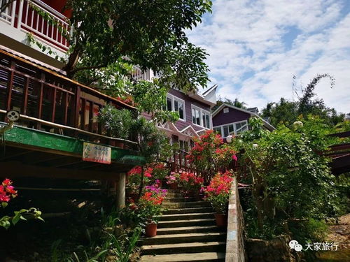 香清远旅游攻略厦门民宿