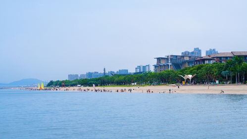厦门滨海浪漫线旅游攻略