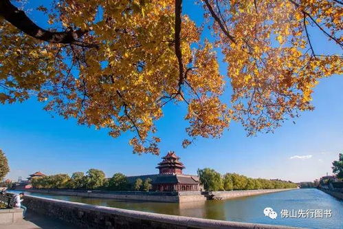 厦门园博园秋天旅游攻略