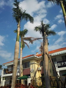 厦门11月闺蜜旅游攻略