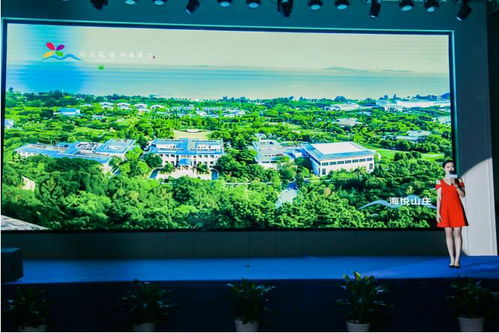 厦门旅游攻略新闻频道直播