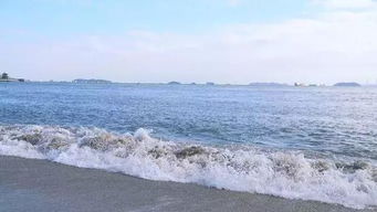 自驾厦门旅游五天攻略