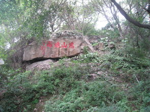 厦门天驱山旅游攻略图