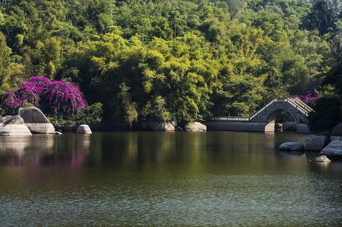 植物园厦门攻略旅游推荐