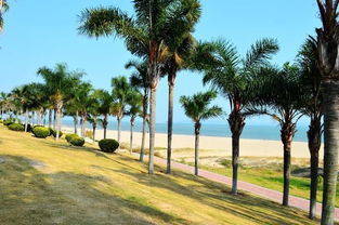 太原自驾厦门的旅游攻略