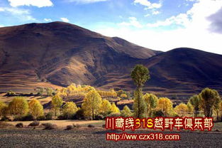 川藏旅游攻略厦门好玩不