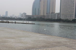 南昌市去厦门旅游攻略