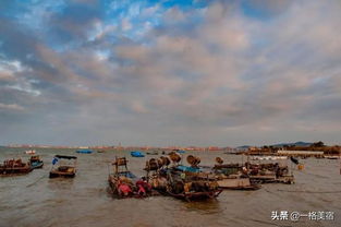 现在一月厦门旅游攻略
