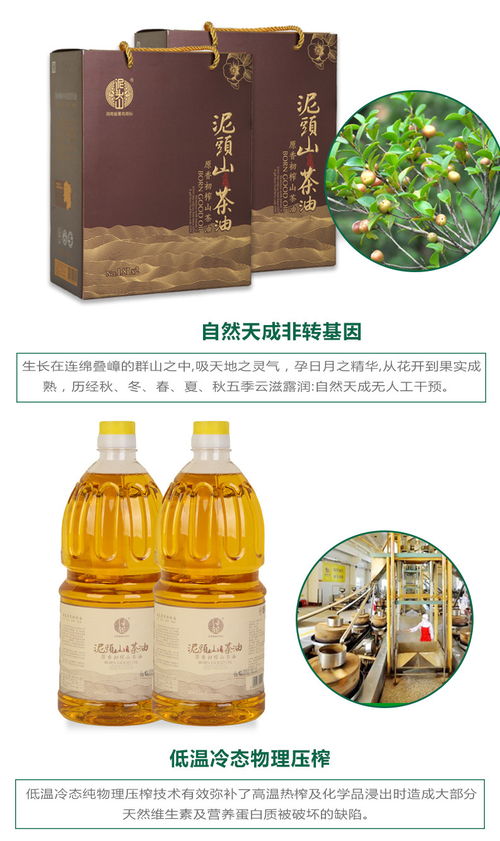 福州山茶油特产介绍作文