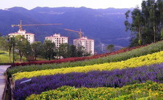 厦门十里蓝山 旅游攻略