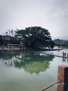 厦门旅游攻略10天9晚