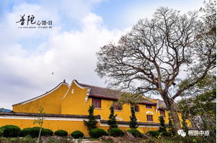 厦门舟山旅游攻略普陀山