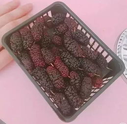 过年福州特产方便携带的