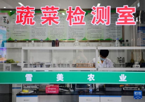 福州长汀特产专卖店