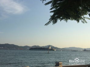 求八月厦门旅游攻略