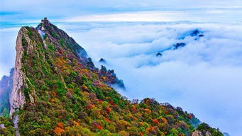 厦门洛阳旅游攻略老君山