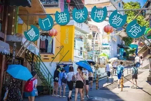 厦门旅游探店逛吃攻略
