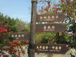 厦门过生日旅游攻略图片