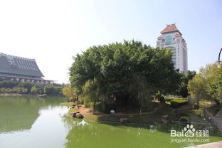 包含厦门大学的旅游攻略