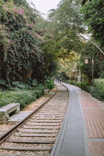 厦门植物园草原旅游攻略