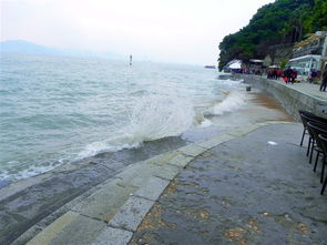 旅游团厦门看海攻略路线