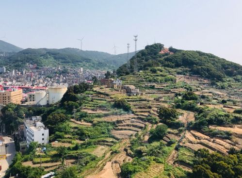 福州市闽候县有什么特产