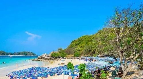 厦门飞泰国旅游攻略图文