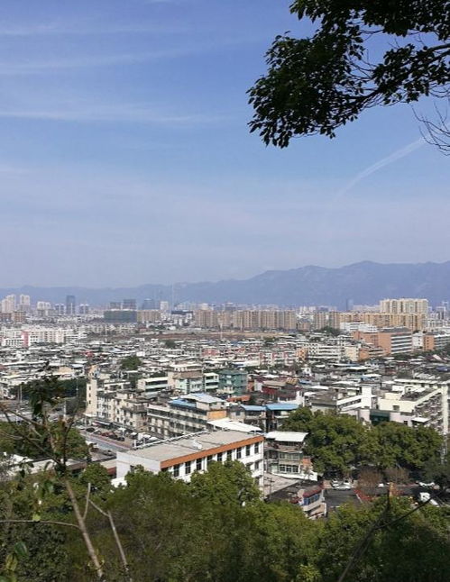 福州仓山区云缅土特产