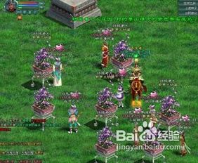 征途2游戏攻略