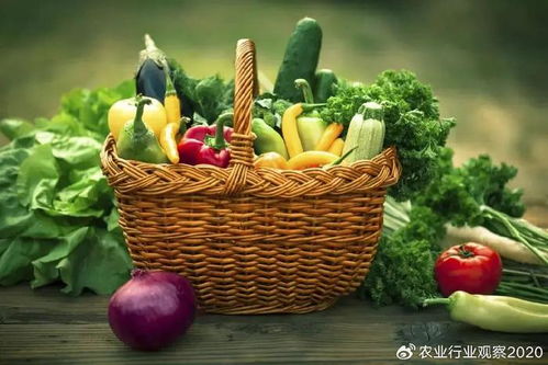 福州特产农产品供应链