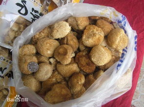 福州特产在哪买比较好吃