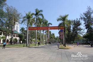 厦门大学旅游攻略及简介