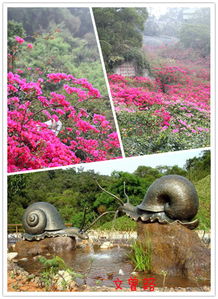 世贸厦门植物园攻略旅游