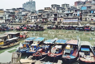 厦门带娃2日旅游攻略