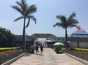 厦门真厝庵旅游攻略大全