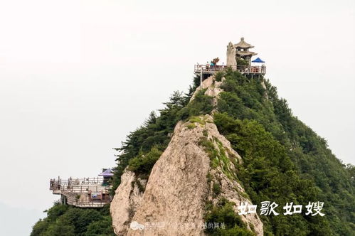 厦门去老君山旅游攻略图