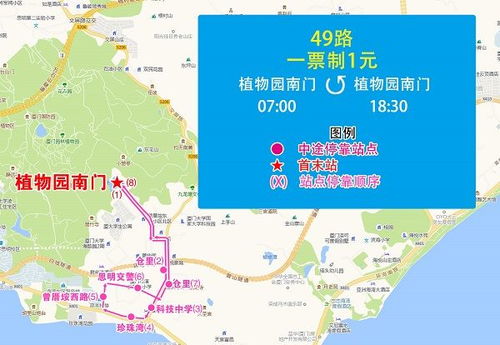 七月在厦门旅游攻略路线