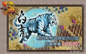 哪些游戏里有青龙白虎